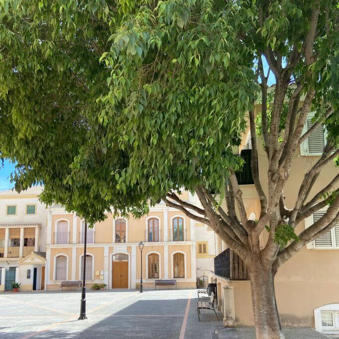 Apartamento Mediterraneo Entre Vinedos Jesus Pobre 外观 照片