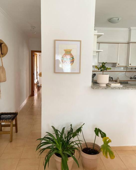 Apartamento Mediterraneo Entre Vinedos Jesus Pobre 外观 照片